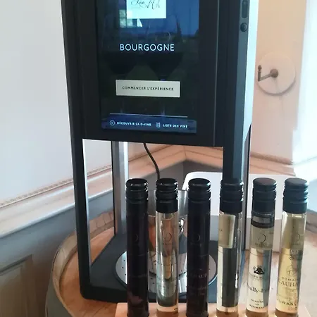 Logis - Et Restaurant Le Lion D'or 3* 格拉马